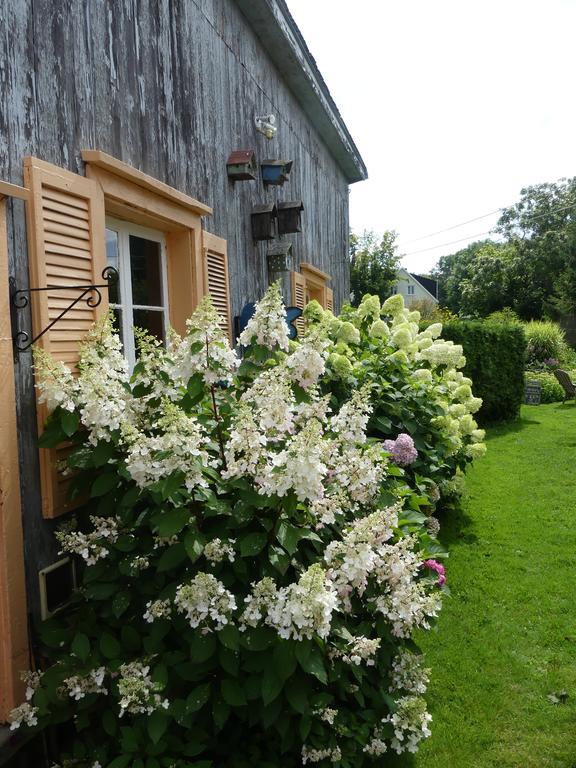 Gite Du Village - Deschambault Buitenkant foto